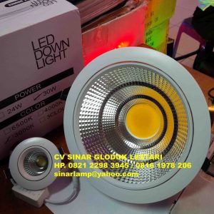 Led Adjustable Downlight Jumbo 30W