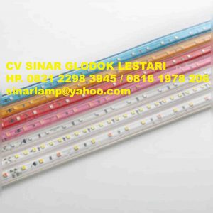 Lampu LED Strip 2835 IP68 50m 220v Kingtas