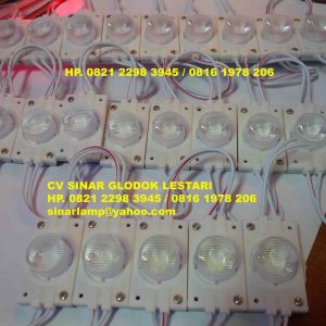 Lampu LED Module Two Side Chip OSRAM