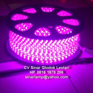 Lampu LED Strip SMD 5050 IP67 220V