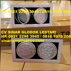 Lampu Downlight LED 12W x 2 Adjustable