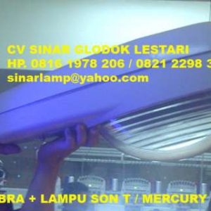 Lampu Jalan PJU Kobra HPIT 250W dan SON-T 250W Philips