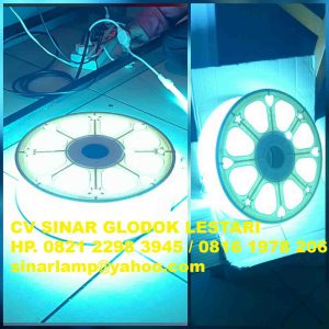 Lampu LED Strip 220v 50m Warna Blue Ice