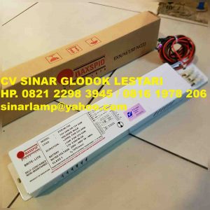 Emergency Power Supply Kit Maxspid EXN/M/150