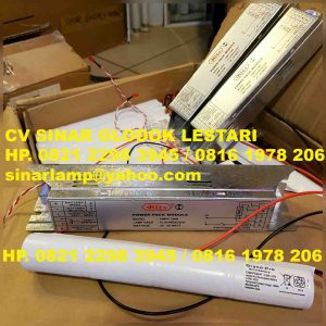 Emergency Power Pack Module HMPF 2040 Hits