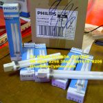 Lampu PLC 4P 18W 865 Philips