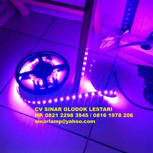 Lampu LED Strip Ungu 5M 12V IP33