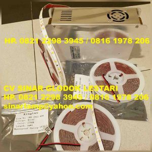 Lampu LED Strip 24V SMD 2835 2700K Kingtas