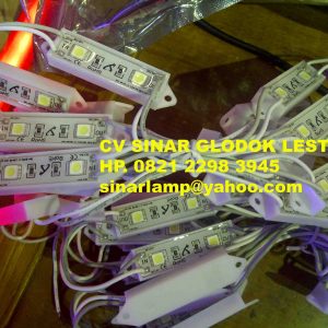 Lampu LED Modul 2 Mata Putih