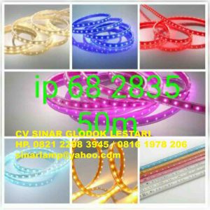 LED Strip 2835 220v 50 meter Kingtas