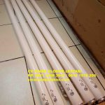 Lampu Pemanas IR 250W Philips