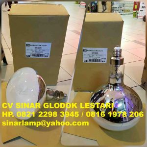 Lampu Eye Iwasaki Mercury Lamp 700W E40 HRF700PD