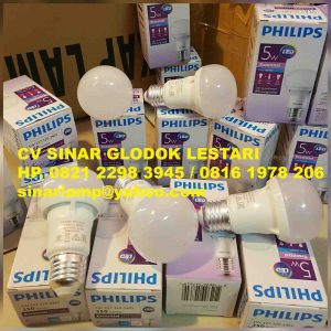Philips Led Bulb 5 watt