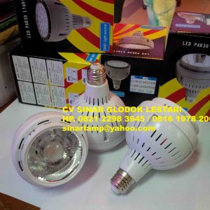 Lampu LED PAR30 COB 30 watt