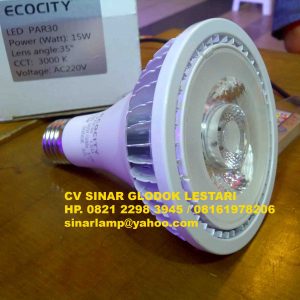 Lampu PAR30 LED 15W 220V ECOCITY High Premium LED