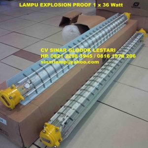 Lampu Anti Ledak Explosion Proof 1 x 36 Watt