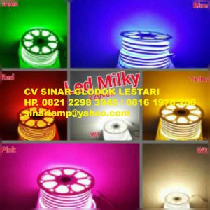 Lampu LED Milky Neon Flex 50m 220V