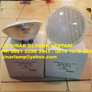 Lampu Kolam Renang LED PAR56 30W 12V IP68