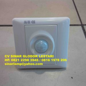 Infrared Motion Sensor